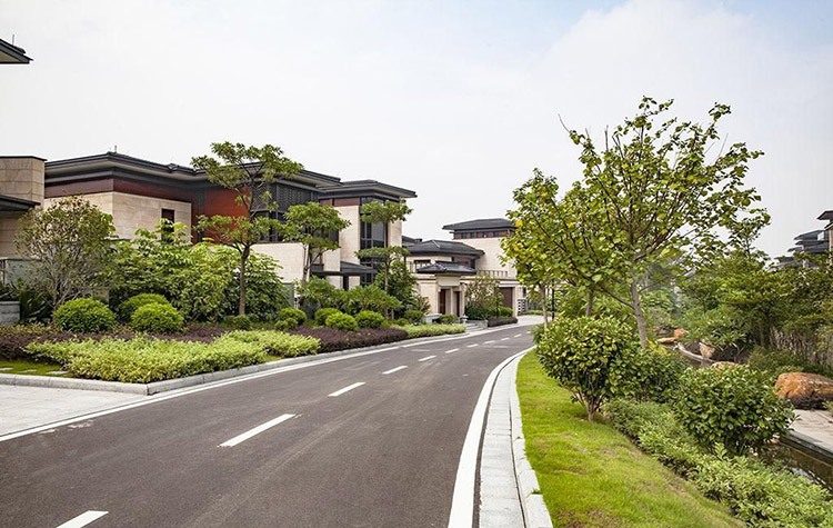 居住区次干道图片 居住区次干道图片