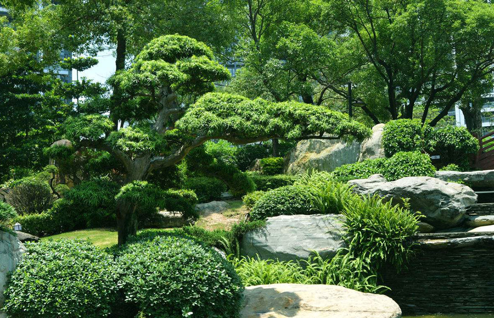 园林景观设计图片 园林景观设计图片